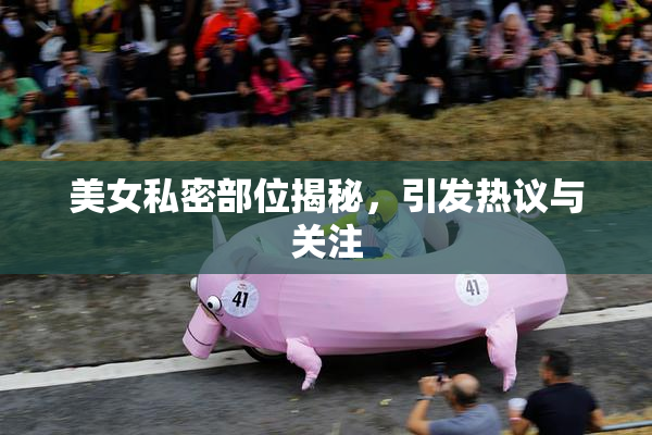 美女私密部位揭秘，引发热议与关注