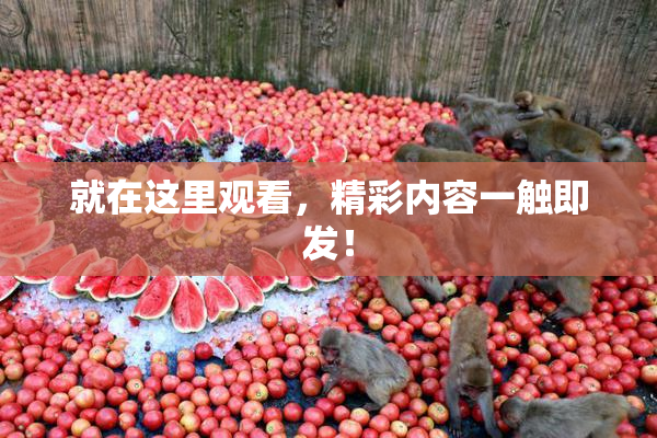就在这里观看，精彩内容一触即发！