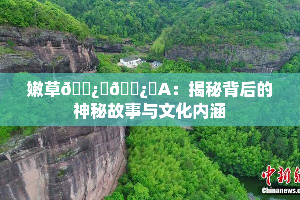 嫩草🌿‌🌿‌A：揭秘背后的神秘故事与文化内涵