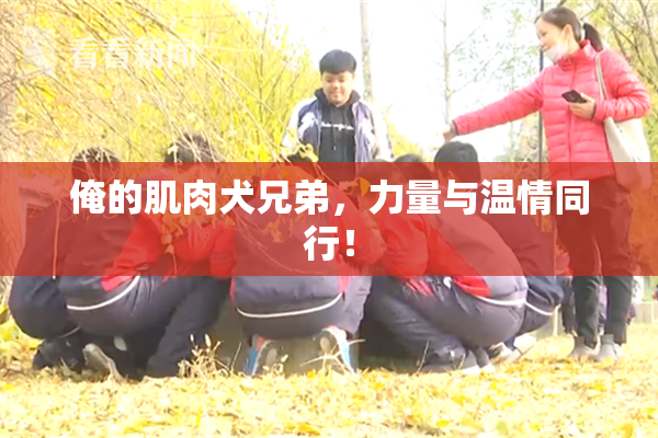 俺的肌肉犬兄弟，力量与温情同行！