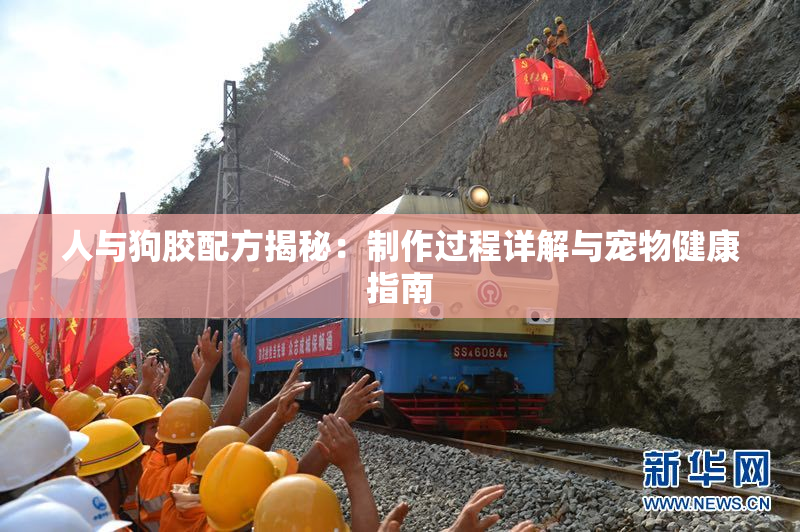人与狗胶配方揭秘：制作过程详解与宠物健康指南