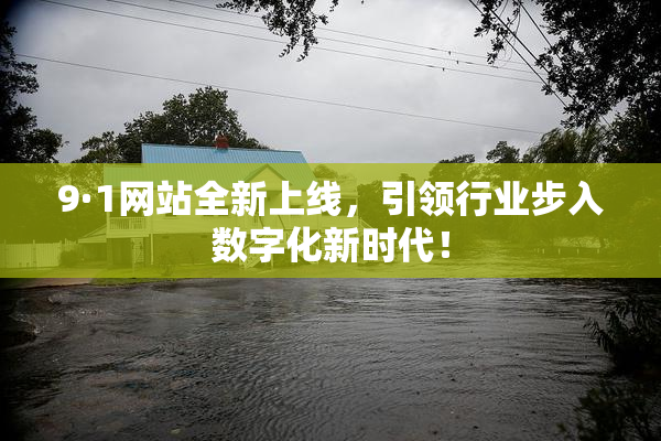 9·1网站全新上线，引领行业步入数字化新时代！