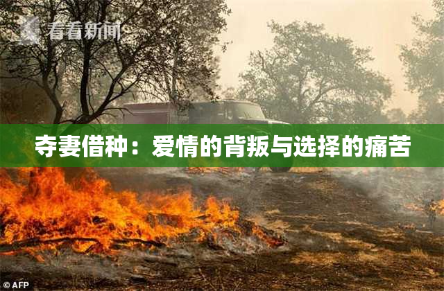 夺妻借种：爱情的背叛与选择的痛苦
