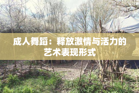 成人舞蹈：释放激情与活力的艺术表现形式