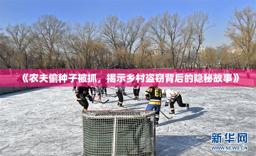 《农夫偷种子被抓，揭示乡村盗窃背后的隐秘故事》