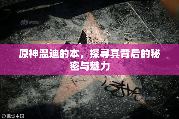原神温迪的本，探寻其背后的秘密与魅力