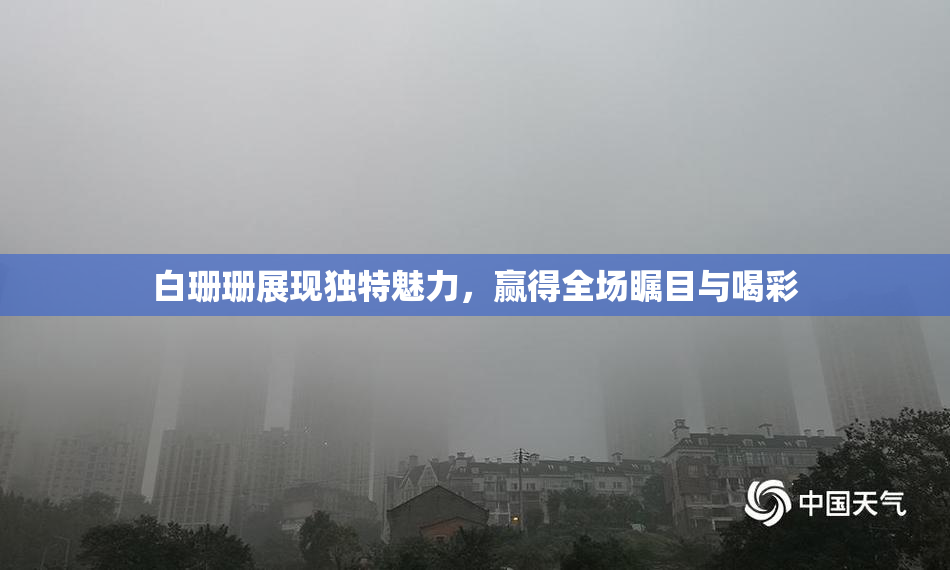 白珊珊展现独特魅力，赢得全场瞩目与喝彩