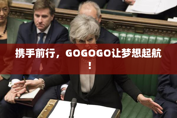 携手前行，GOGOGO让梦想起航！