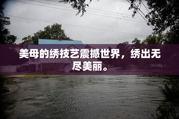 美母的绣技艺震撼世界，绣出无尽美丽。
