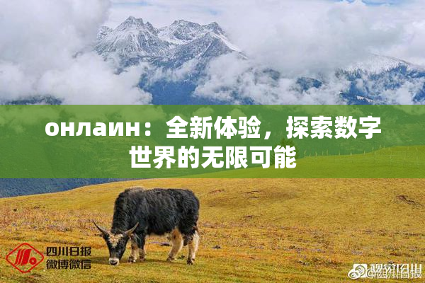 онлаин：全新体验，探索数字世界的无限可能