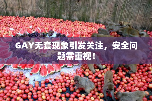 GAY无套现象引发关注，安全问题需重视！