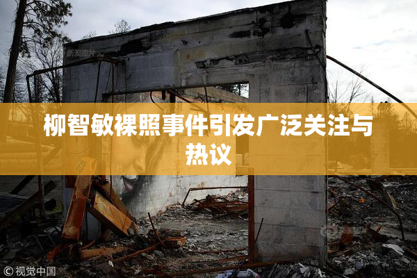 柳智敏裸照事件引发广泛关注与热议