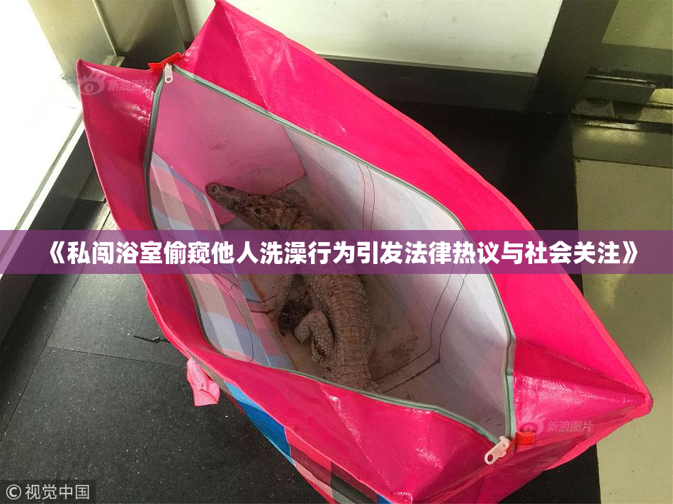 《私闯浴室偷窥他人洗澡行为引发法律热议与社会关注》