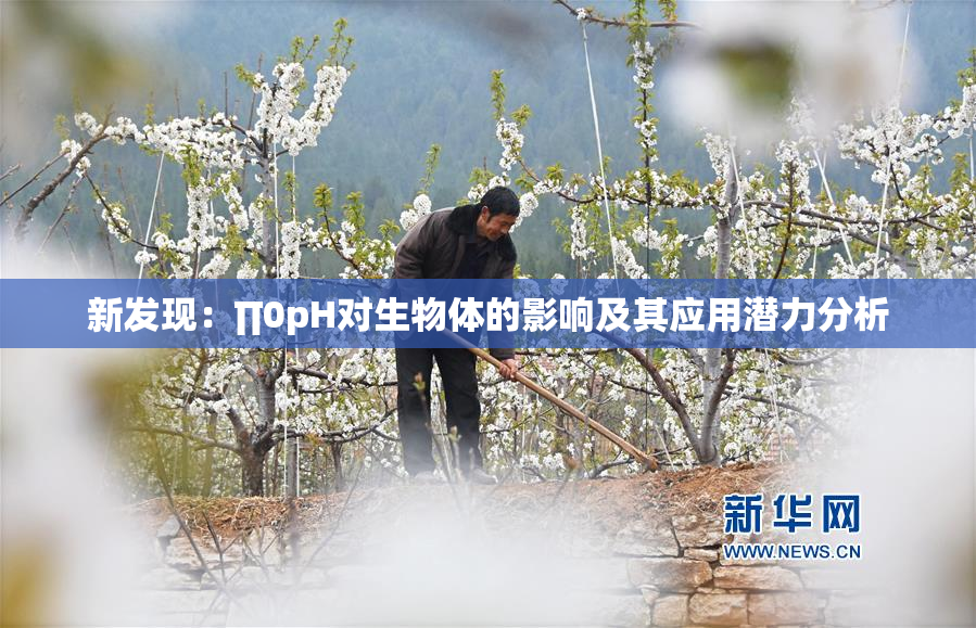 新发现：∏0pH对生物体的影响及其应用潜力分析