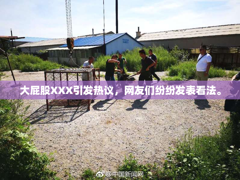 大屁股XXX引发热议，网友们纷纷发表看法。