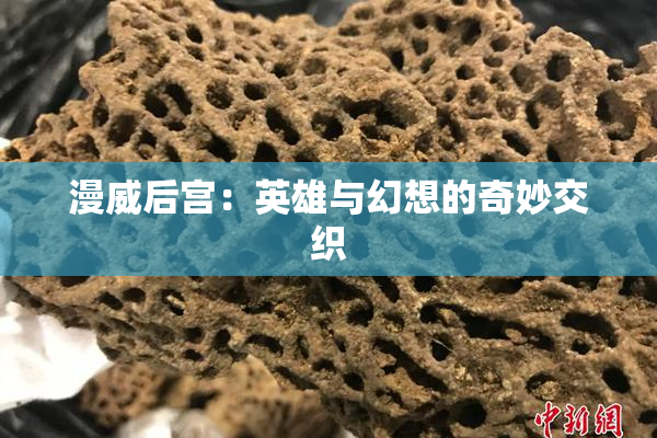 漫威后宫：英雄与幻想的奇妙交织
