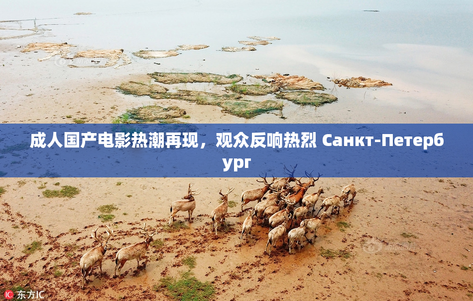 成人国产电影热潮再现，观众反响热烈 Санкт-Петербург