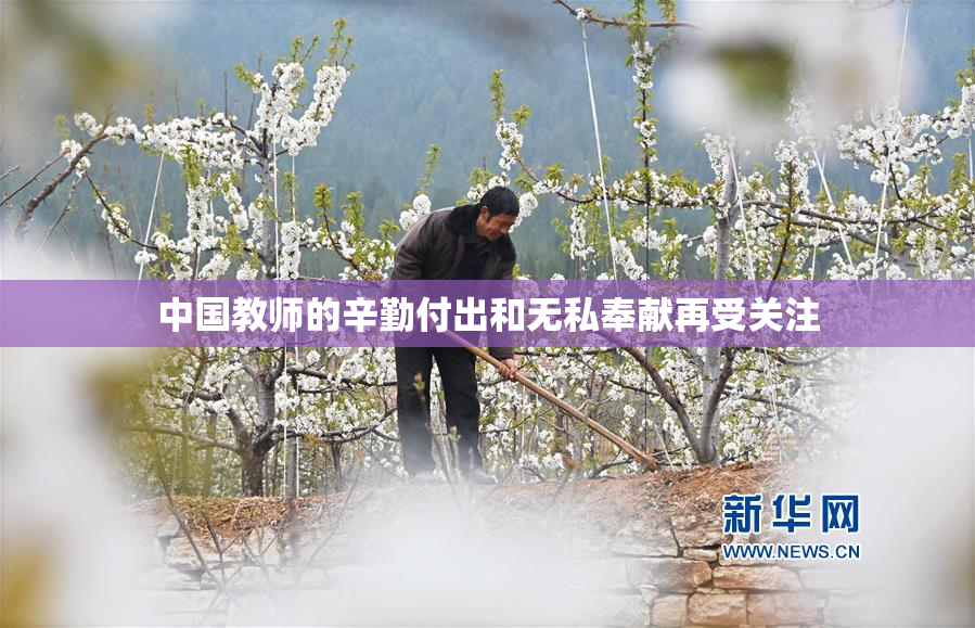 中国教师的辛勤付出和无私奉献再受关注