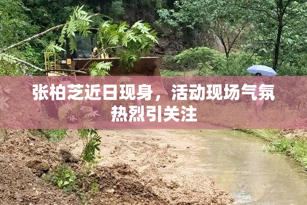 张柏芝近日现身，活动现场气氛热烈引关注