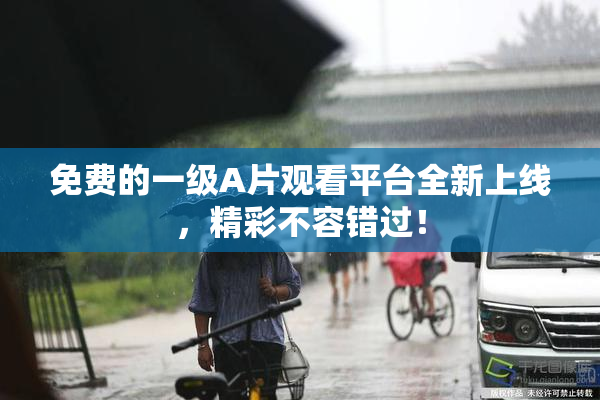 免费的一级A片观看平台全新上线，精彩不容错过！
