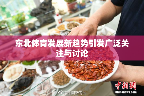 东北体育发展新趋势引发广泛关注与讨论
