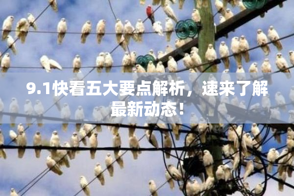 9.1快看五大要点解析，速来了解最新动态！