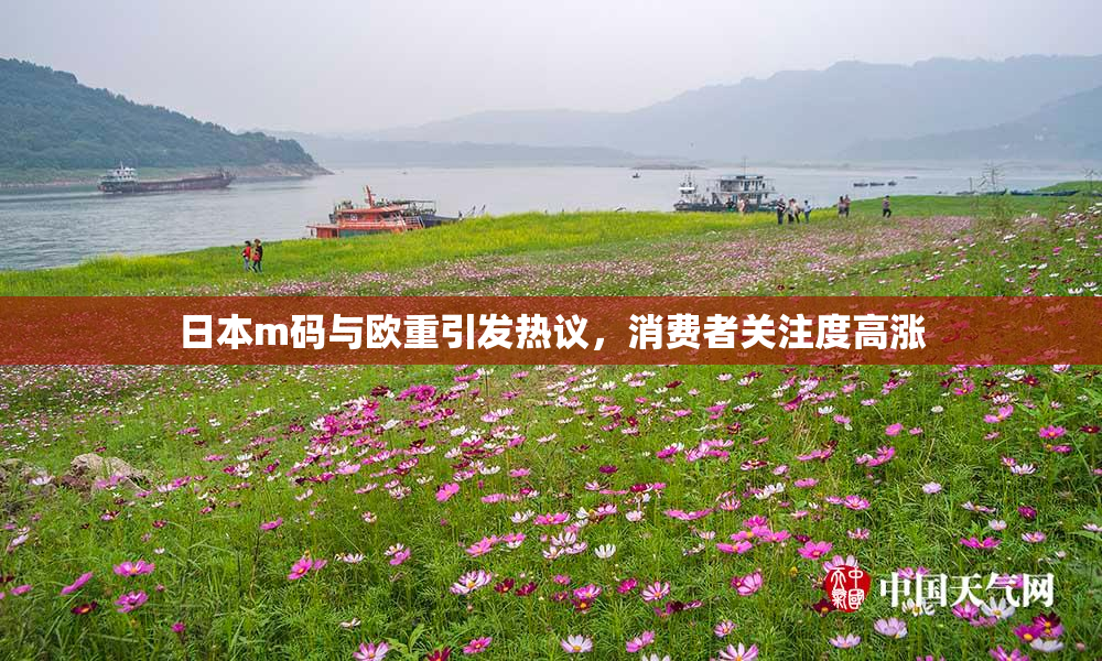 日本m码与欧重引发热议，消费者关注度高涨