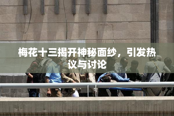 梅花十三揭开神秘面纱，引发热议与讨论
