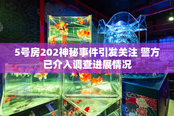 5号房202神秘事件引发关注 警方已介入调查进展情况