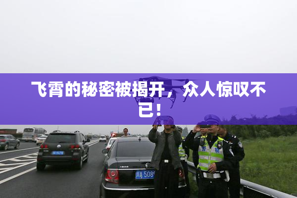 飞霄的秘密被揭开，众人惊叹不已！