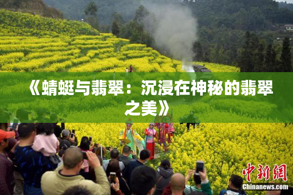 《蜻蜓与翡翠：沉浸在神秘的翡翠之美》