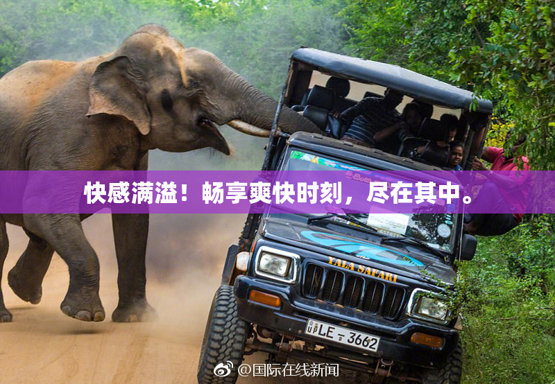 快感满溢！畅享爽快时刻，尽在其中。