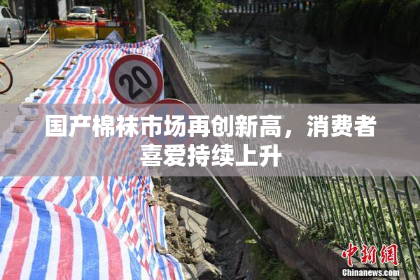 国产棉袜市场再创新高，消费者喜爱持续上升