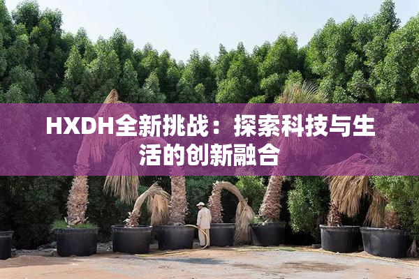 HXDH全新挑战：探索科技与生活的创新融合