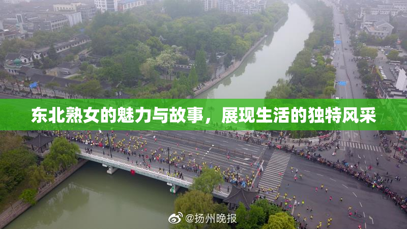 东北熟女的魅力与故事，展现生活的独特风采