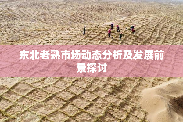 东北老熟市场动态分析及发展前景探讨