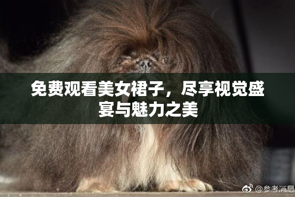 免费观看美女裙子，尽享视觉盛宴与魅力之美
