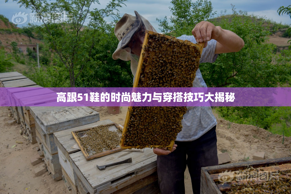 高跟51鞋的时尚魅力与穿搭技巧大揭秘