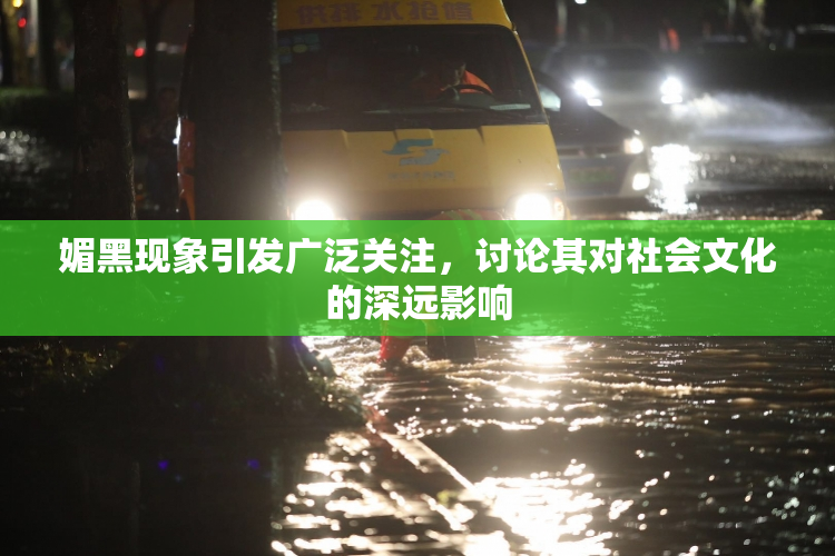 媚黑现象引发广泛关注，讨论其对社会文化的深远影响