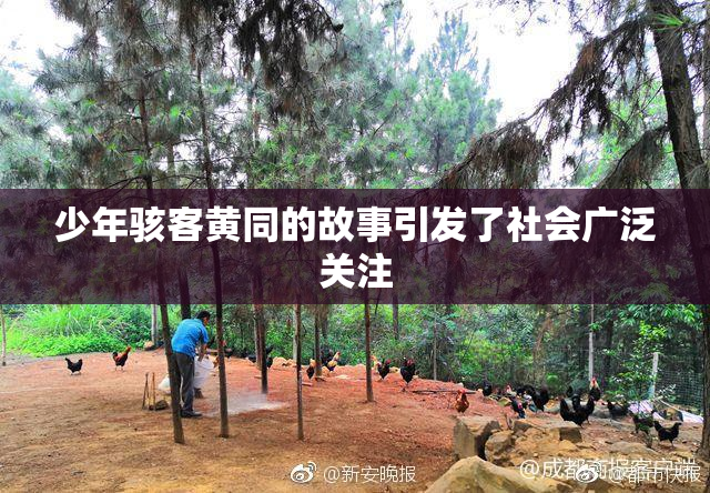少年骇客黄同的故事引发了社会广泛关注