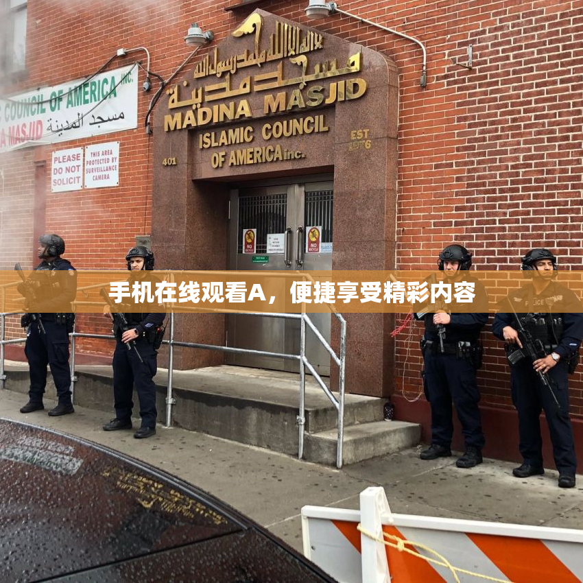手机在线观看A，便捷享受精彩内容