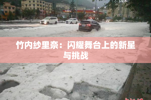 竹内纱里奈：闪耀舞台上的新星与挑战