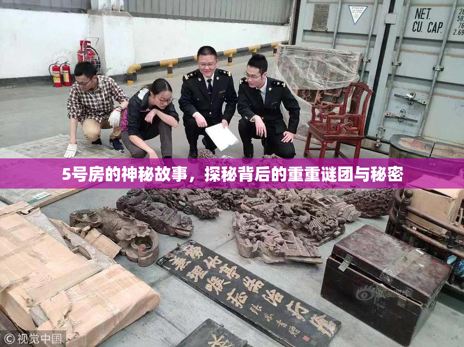 5号房的神秘故事，探秘背后的重重谜团与秘密