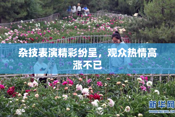 杂技表演精彩纷呈，观众热情高涨不已