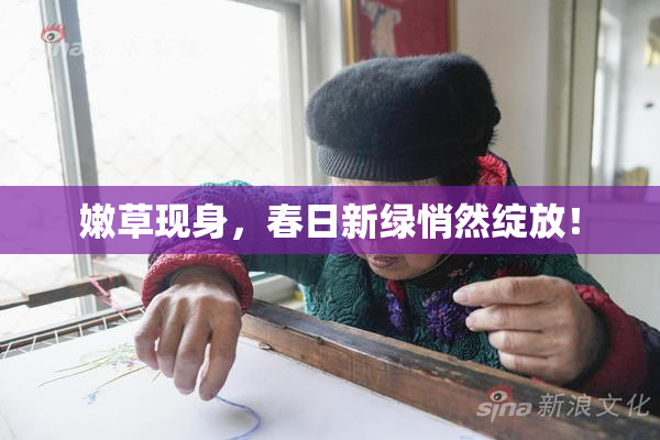 嫩草现身，春日新绿悄然绽放！
