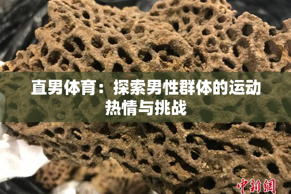 直男体育：探索男性群体的运动热情与挑战