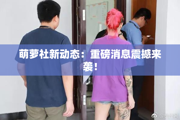 萌萝社新动态：重磅消息震撼来袭！