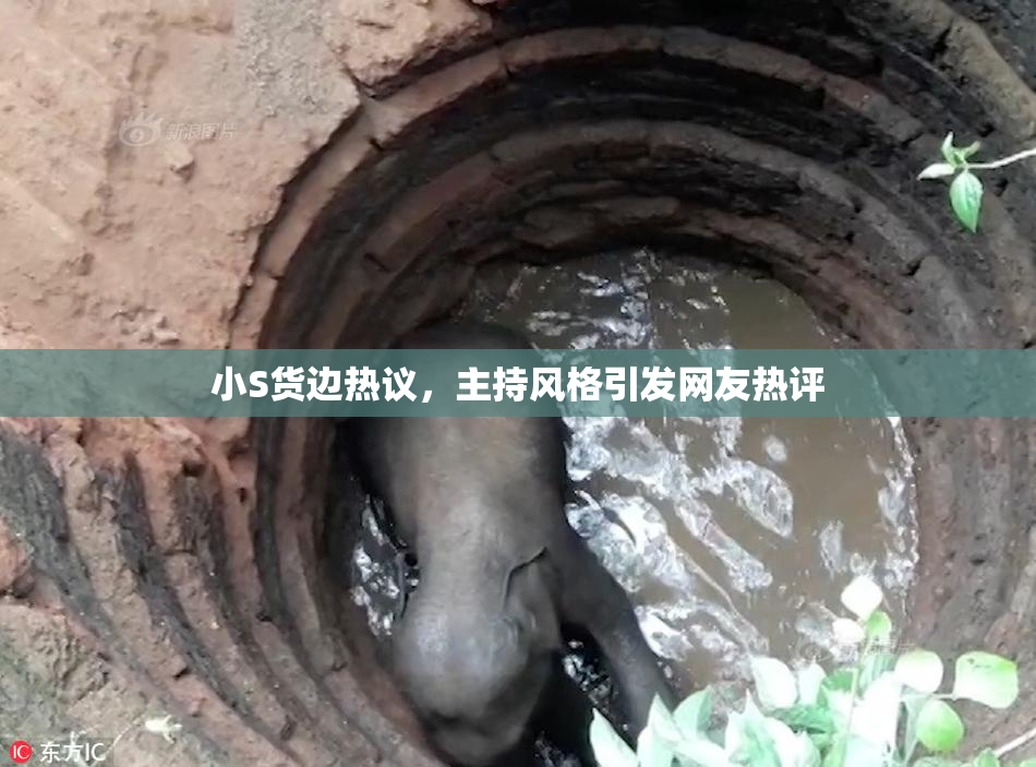 小S货边热议，主持风格引发网友热评