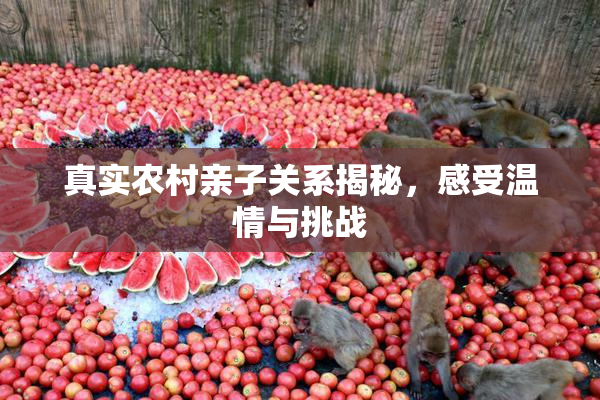 真实农村亲子关系揭秘，感受温情与挑战