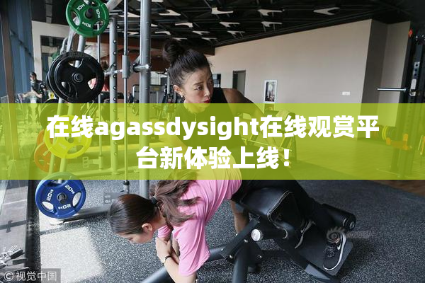 在线agassdysight在线观赏平台新体验上线！